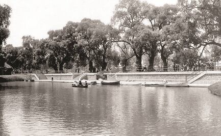 Esta es la historia del Lago de Chapultepec y las otras veces que murieron masivamente peces 