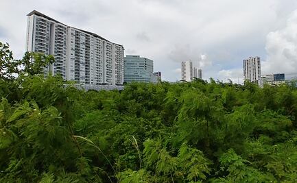 Empresarios exigen devolución de inversión por compra de terrenos en Tajamar