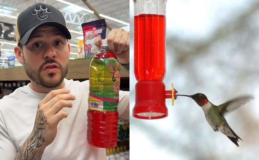 Descubre los peligros de comprar este néctar. Foto: TikTok