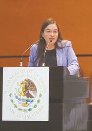 Cámara Baja designará a consejeros del INE