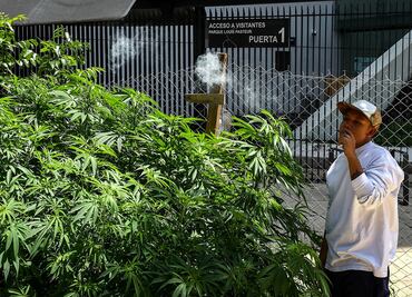 Marihuana, misas durante la pandemia y Drag Queens, entre las mejores fotos de la semana