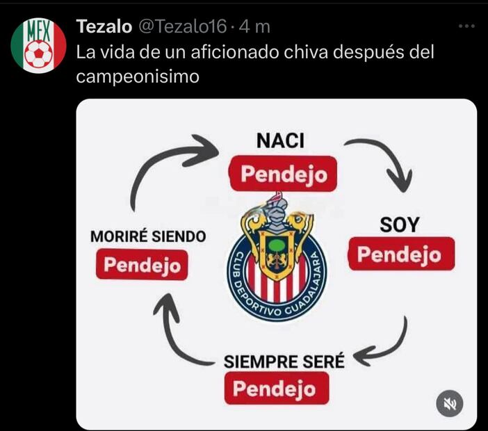 Los MEJORES MEMES de la derrota del Guadalajara