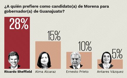 En Guanajuato, Ricardo Sheffield aventaja en Morena