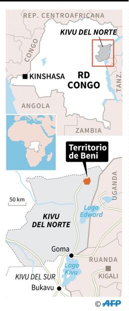 Suman 14 cascos azules muertos y 53 heridos por ataque en RDC: ONU