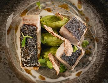 Mía Tulum presenta nuevo menú por el chef Maximiliano Sola