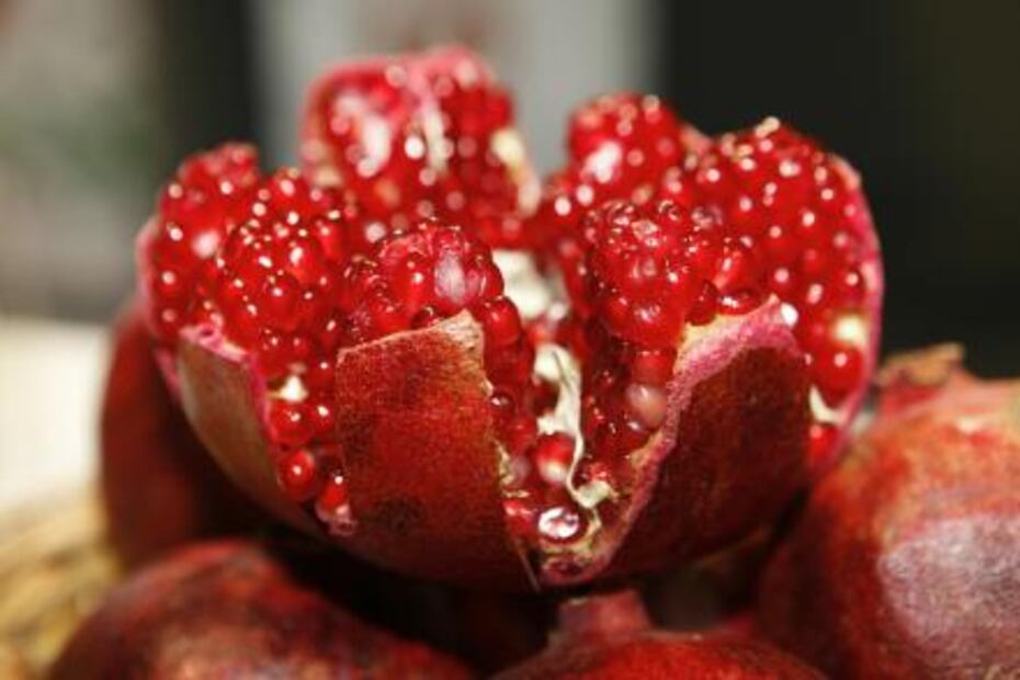 Alimento favorito en esta temporada