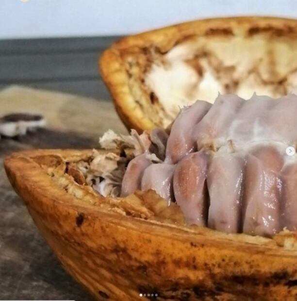 Lo bueno y lo malo del 2021 para el mundo gastronómico