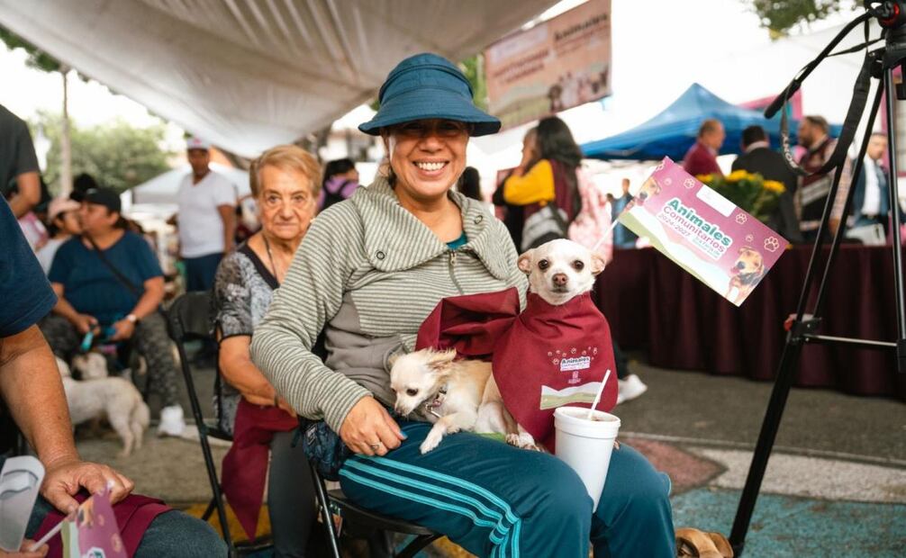 El programa contempla mil esterilizaciones gratuitas de julio a diciembre. Foto: Especial.