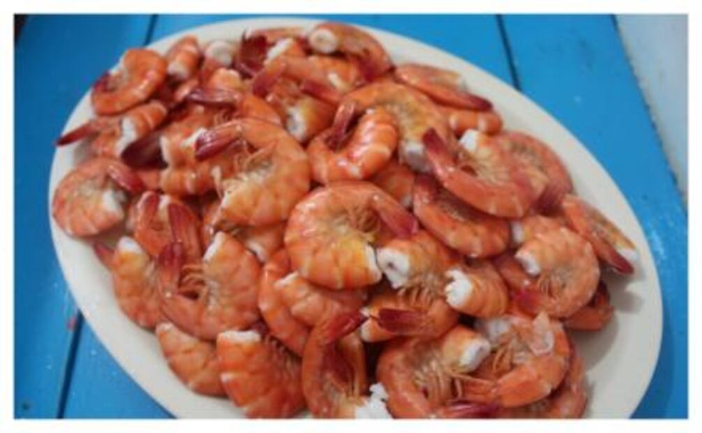 Los mejores aguachiles están en Mazatlán
