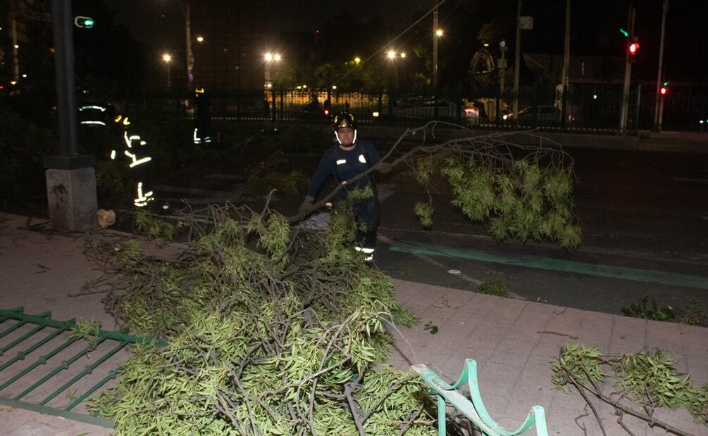 Se debe tener cuidado, ya que el viento puede ocasionar la caída de árboles y cornisas.
Fotos:Francisco Rodríguez