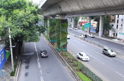 Columnas del segundo piso del Periférico serán jardines verticales