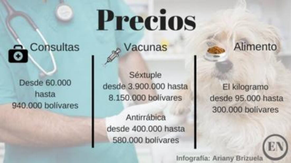 Ante crisis y escasez de alimentos, venezolanos abandonan a sus mascotas