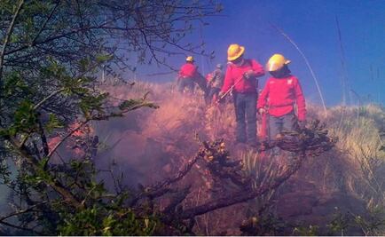 Altas temperaturas en Hidalgo generan al menos 8 incendios forestales