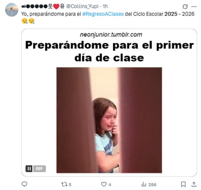 Los mejores memes para iniciar el ciclo escolar 2025-2026.
Foto: Captura de pantalla en X 