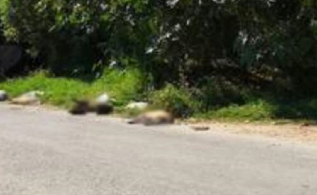 Foto: Archivo EL UNIVERSAL