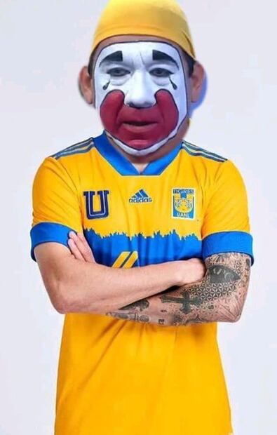 MEMES TIGRES