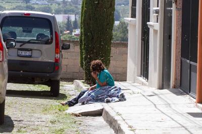 Ataca enjambre en panteón durante un funeral