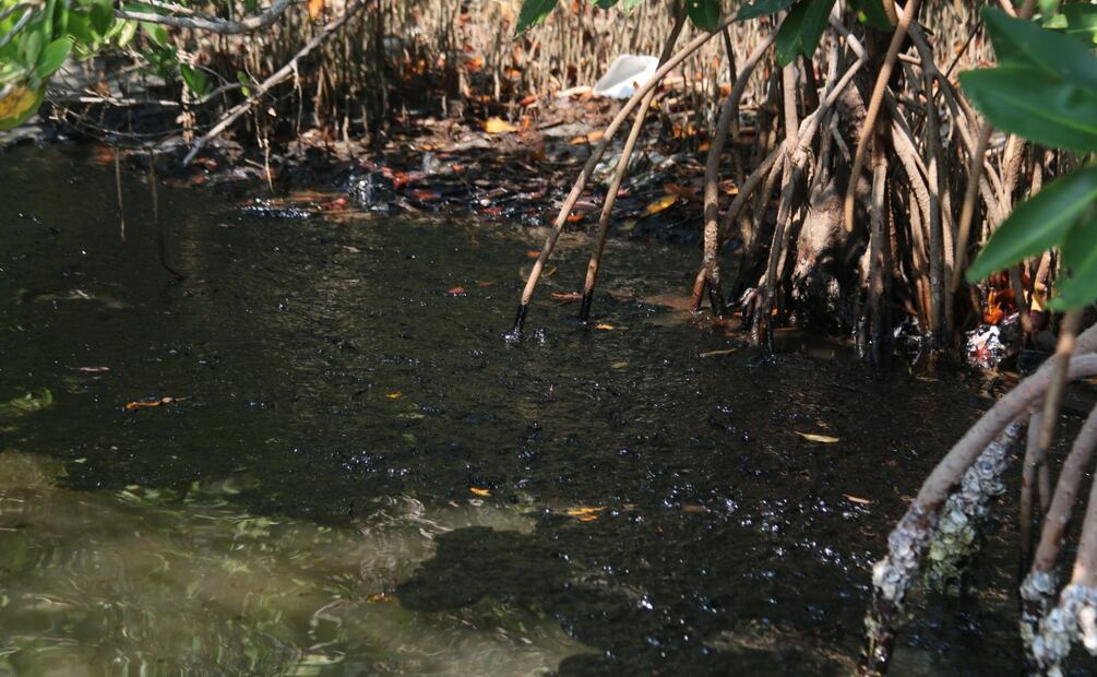 El impacto ambiental se intensificó con la llegada de un frente frío en Tabasco (05/05/2025). Foto: Luma López / EL UNIVERSAL