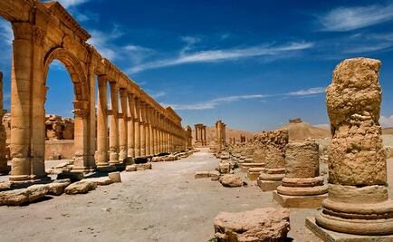 El escáner 3D, la herramienta para "incubar" aves Fénix