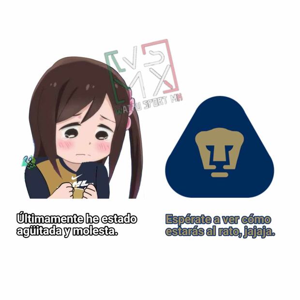 Memes de Pumas