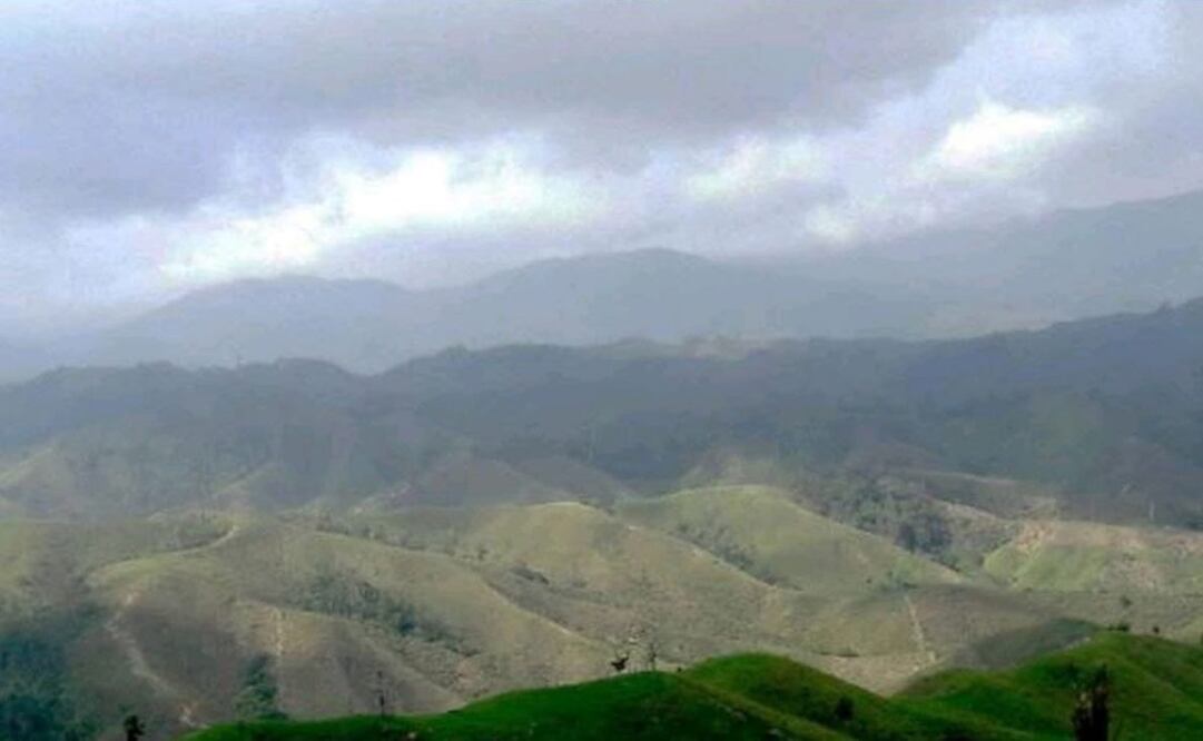 Foto: Cortesía del Comité Nacional para la Defensa y Conservación de Los Chimalapas