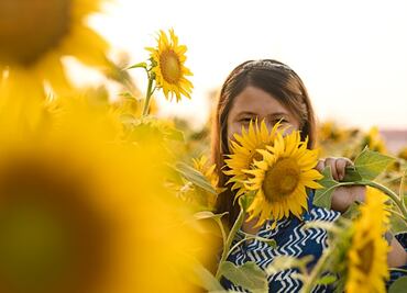 Yellow Day 2024: ¿Por qué este 20 de junio es el día más feliz del año?