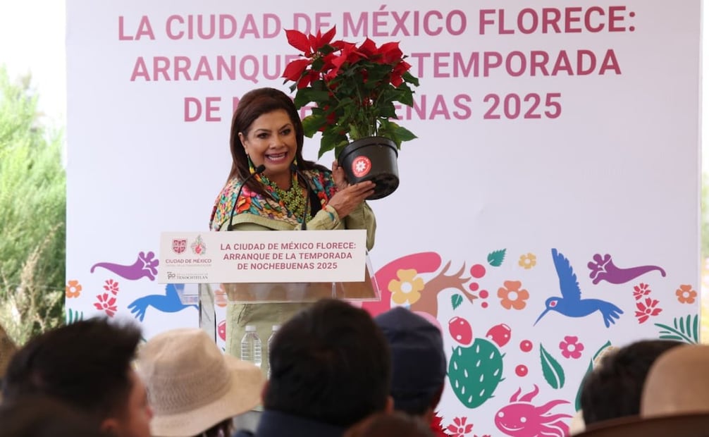 Arranca venta de nochebuena en CDMX; producción alcanzó 1.8 millones de flores.
Foto: Especial.