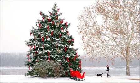 Fuertes nevadas regalan "Blanca Navidad" a millones en EU