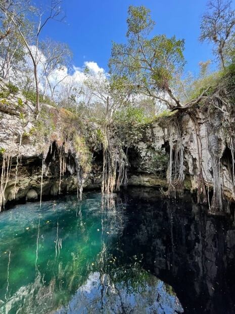 Destino Mío, con glamping y 12 cenotes en la selva de Yucatán