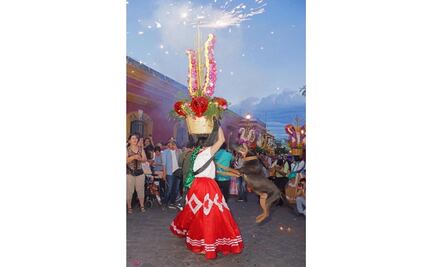 Promueven amparo para que Mazapán salga a bailar a la Guelaguetza