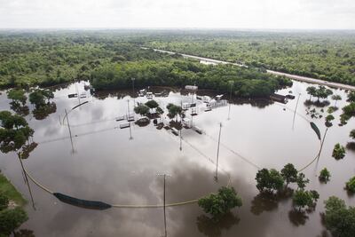 "El Niño", tan devastador como el registrado en 1997 -1998