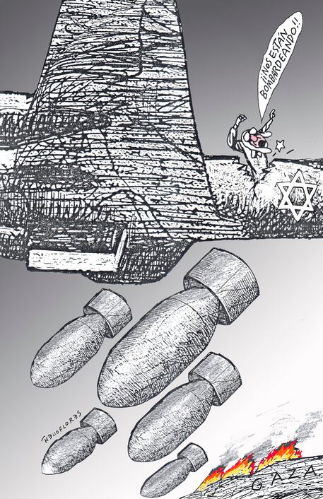 Cartón de HELIOFLORES