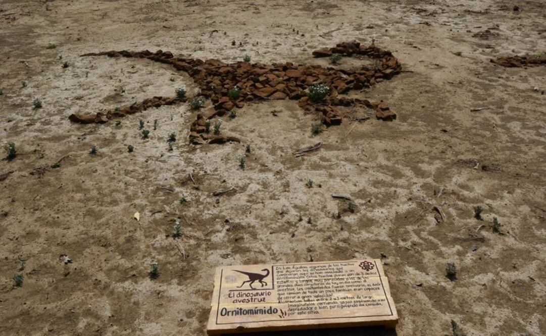 A través de land art, se muestran las siluetas de dos especies de dinosaurios descubiertas en el sitio. (FOTO: Cortesía INAH)