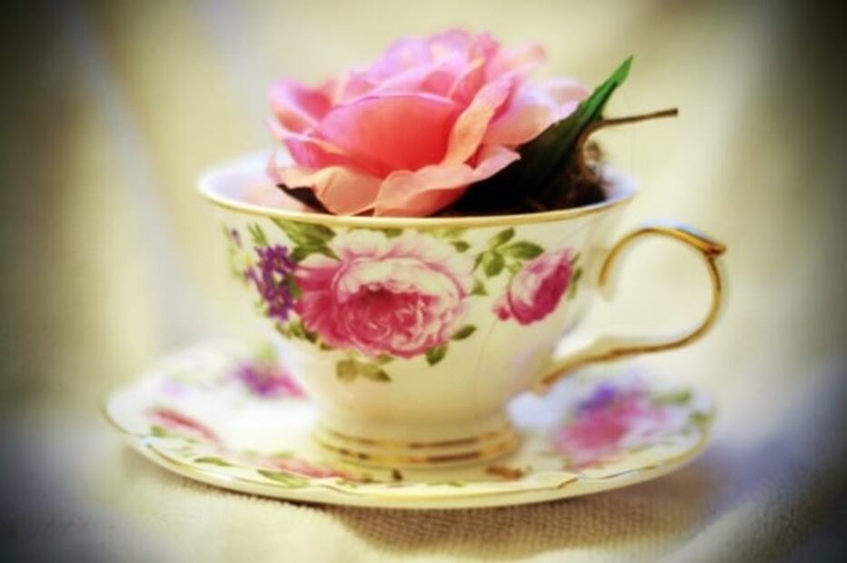 Agua de rosas, una bebida contra las infecciones