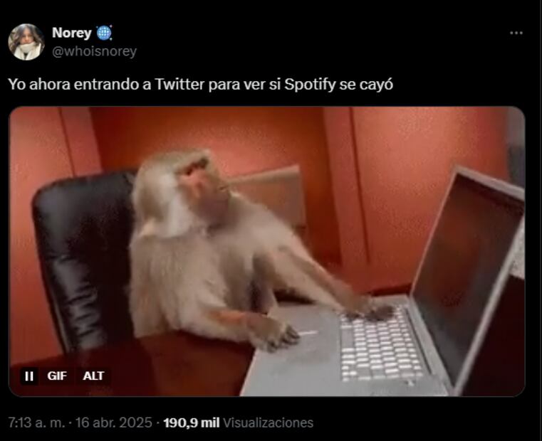 Memes de la caída de Spotify. Fotos: Redes Sociales