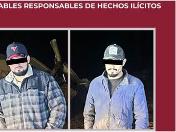 Sujetos transportaban troncos en un tractocamión; autoridades indican que podrían formar parte de La Familia Michoacana