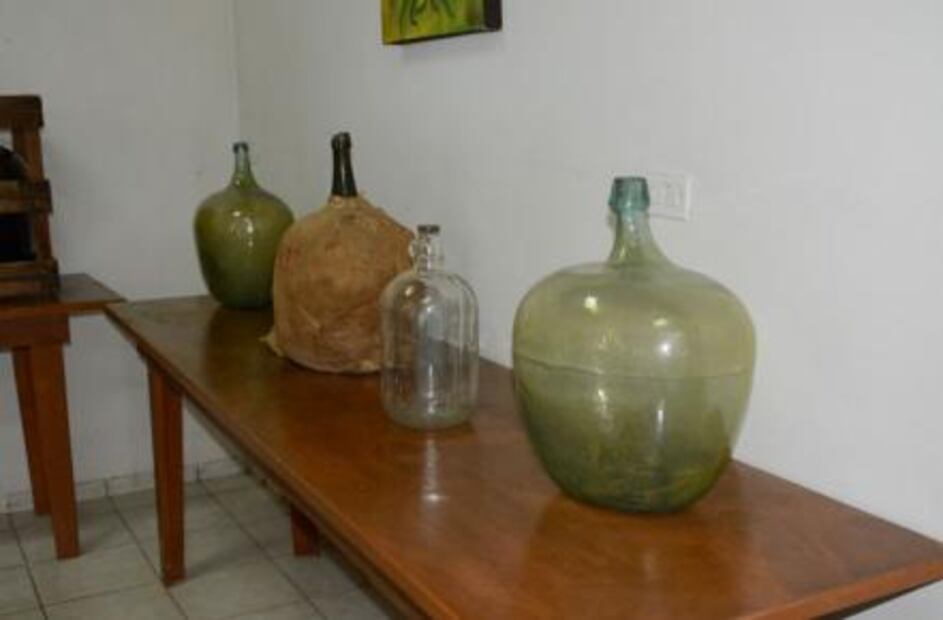 16 things which can only be produced in Mexico