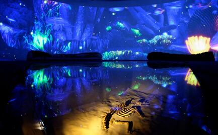 A qué museos entran gratis los niños en la CDMX