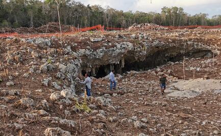 Pese a cancelación de reunión con AMLO, especialistas y activistas viajan a la CDMX 