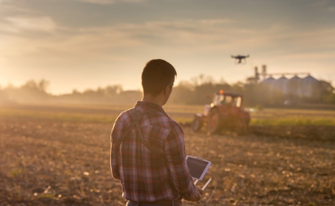 Microsoft’s program sends the data collected via sensors, tractors, and cameras, to a computer in the farm via TV White Spaces (TVWS) - Photo: File photo/EL UNIVERSAL