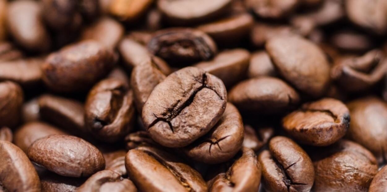 Saborea el café y chocolate mexicano en este festival