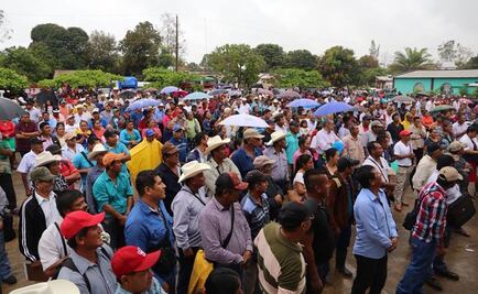 Dan apoyos a productores por cultivos de maíz dañados en Veracruz