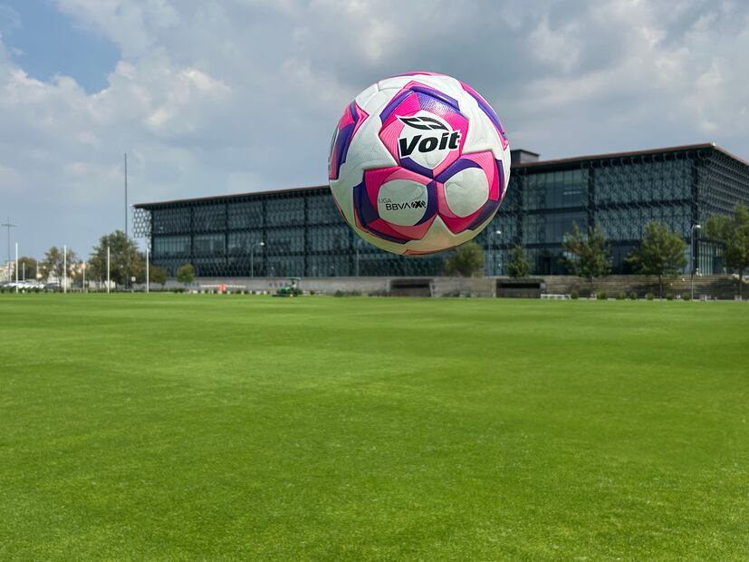 Balón de Voit para la Campaña Rosa de la Liga MX