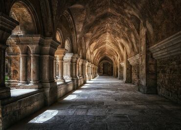 Niña india renuncia a herencia millonaria e ingresa a monasterio