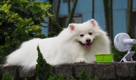 Habrá ambiente caluroso y lluvias ligeras este lunes 11 de abril en la CDMX