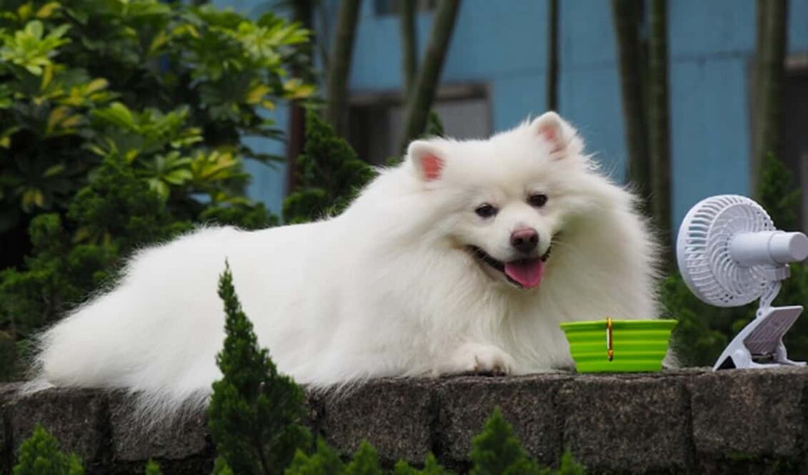 Se espera ambiente fresco al amanecer en la capital. Foto: Pixabay