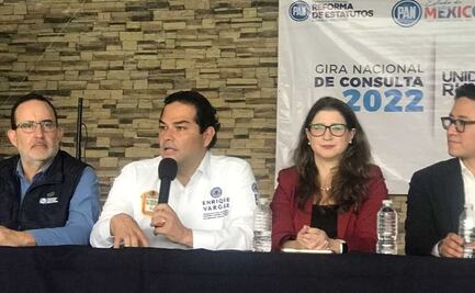 Vargas alerta que alianza PAN-PRI-PRD no puede cometer errores al elegir a su candidato para gobernador en Edomex