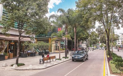 Anuncian plazo para retirar cableado aéreo de Masaryk