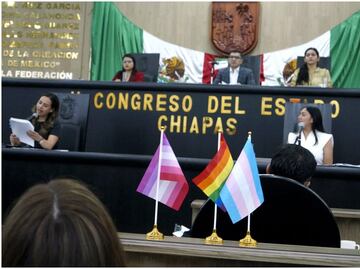 Chiapas aprueba el matrimonio igualitario; colectivos y activistas de la comunidad LGBT+ celebran avance histórico