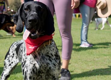 Spend a fun-filled day with your dog at an ecological park